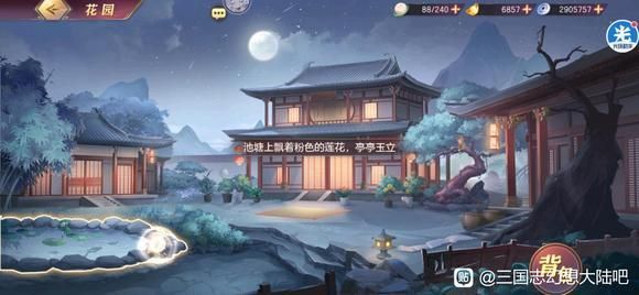 半老徐娘游戏攻略新手怎么玩？三步教你快速通关技巧！
