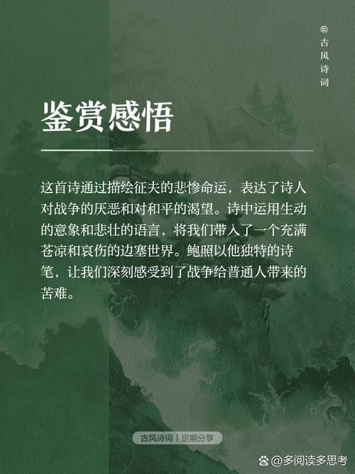 厚颜无耻的十四行诗最新作者背景(创作故事大揭秘！)