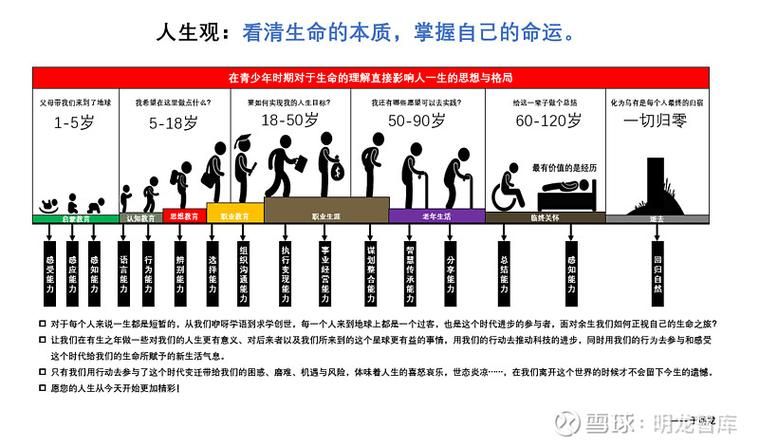 反弹人生安卓汉化问题解决？常见故障处理方法！