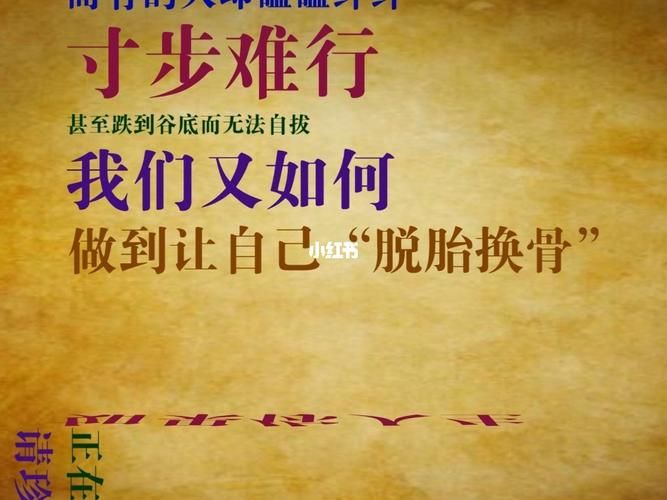 反弹人生看不了怎么办？最新更新入口地址在这里！