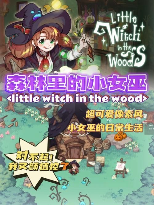 可爱的女巫5绅士游戏怎么玩？(新手轻松上手指南攻略)