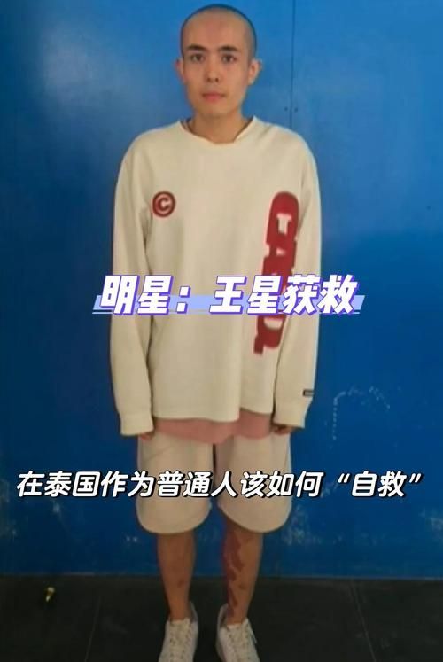 台北仲夏夜之梦在哪下载安全？必看防骗指南来了！