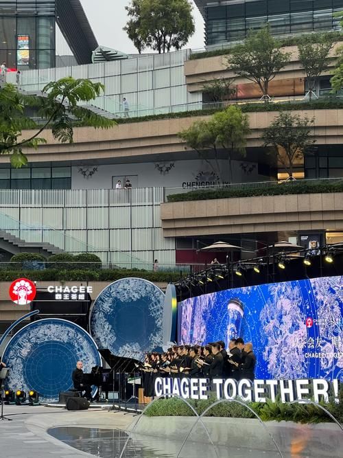 台北仲夏夜之梦最新版本是多少？新版超多惊喜功能揭秘