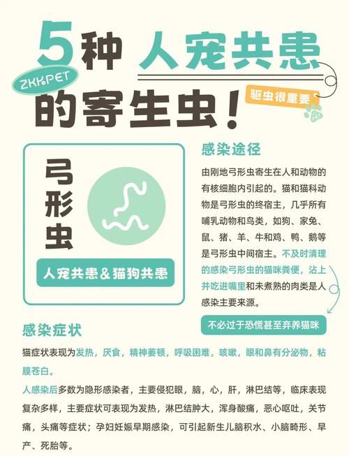 哪个内部寄生虫下载地址靠谱？对比三大源站推荐收藏！