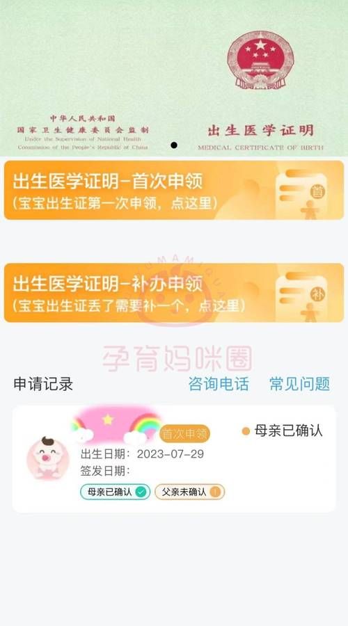 哪个出生证明游戏攻略版本最好用？实测对比选最适合玩法！