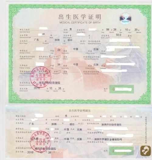 哪个出生证明游戏攻略版本最好用？实测对比选最适合玩法！