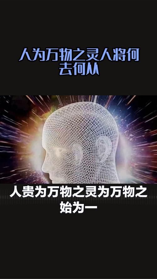 哪里下载视灵2最靠谱？(用户实测高评价平台)
