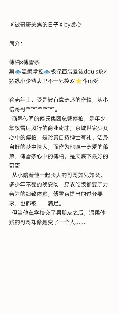 哪里能免费下载少年阿宾小说？站点入口整理