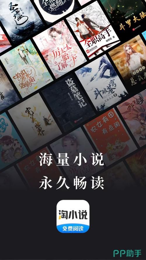 哪里能免费下载少年阿宾小说？站点入口整理