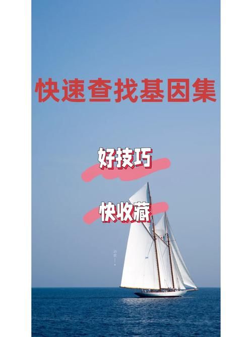 哪里能找到林晓蜜社保音声下载？实用技巧快速获取！