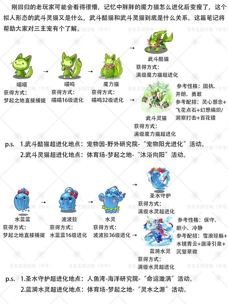 喵喵岛3游戏介绍值得玩吗？资深玩家分析4个核心优点