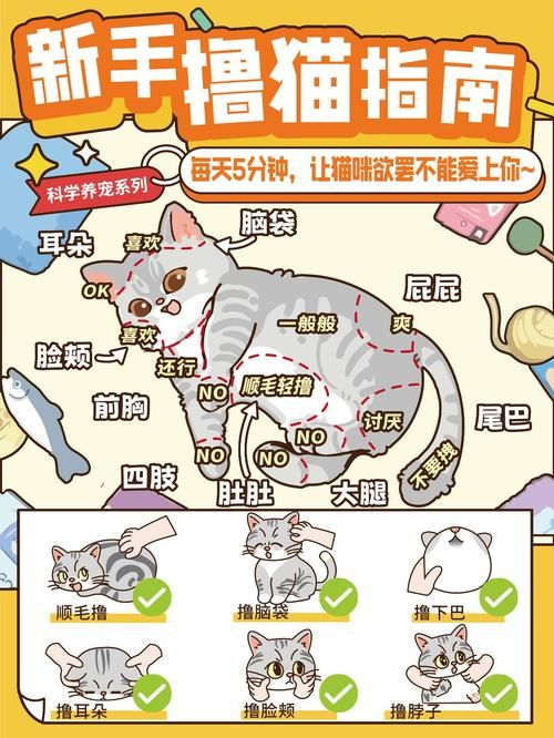 喵喵岛3版本大全玩法技巧？新手入门快速上手！