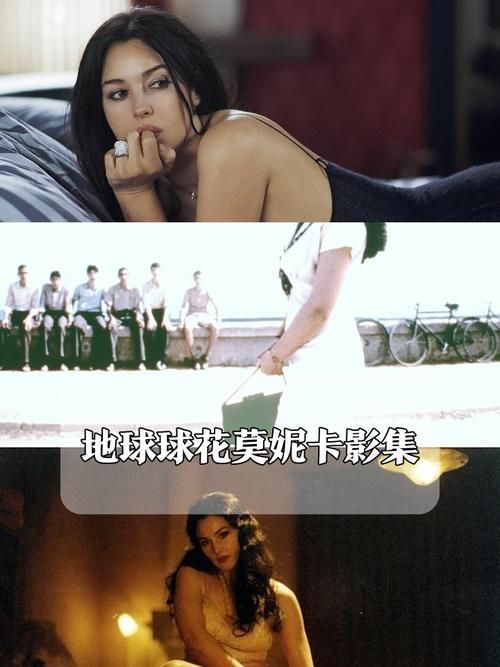 在哪里看时尚女王莫妮卡第三季完结安卓？（推荐3个热门平台APP）