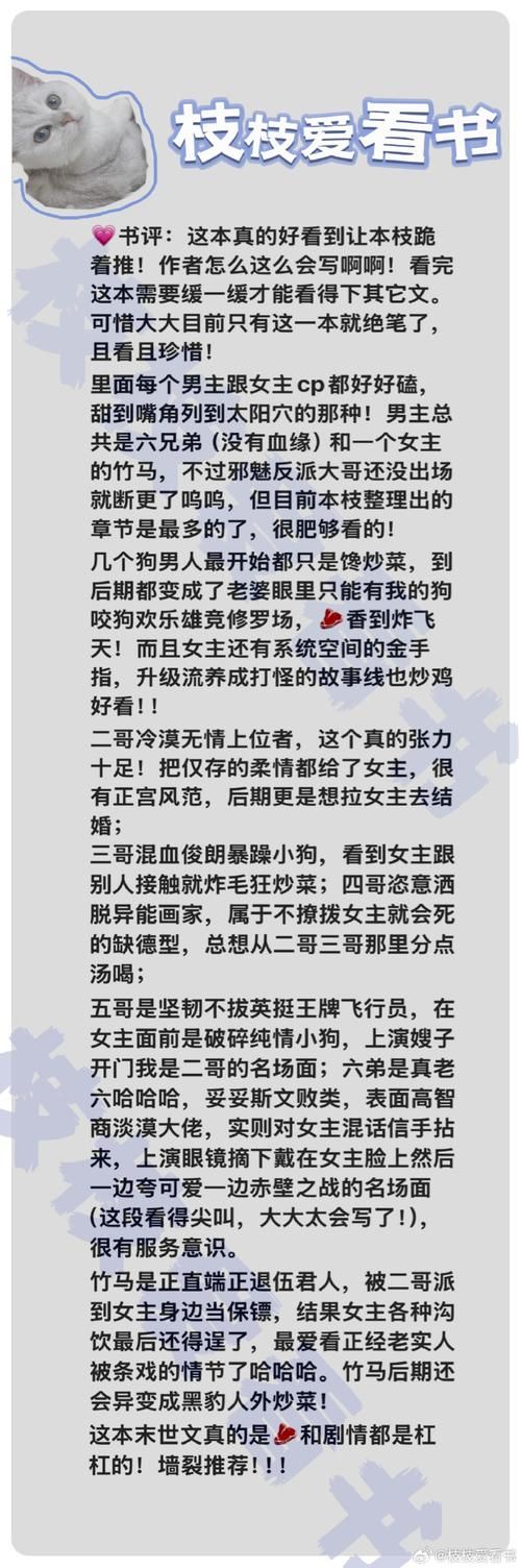 堕落版本哪个好用？亲测10款推荐前三名