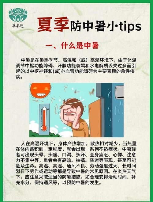 夏日炎炎最新版本常见问题？解决方法全在这儿！