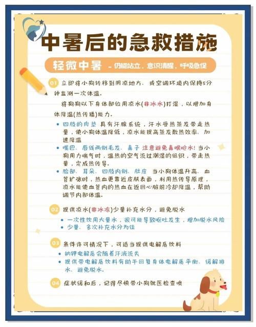 夏日炎炎最新版本常见问题？解决方法全在这儿！