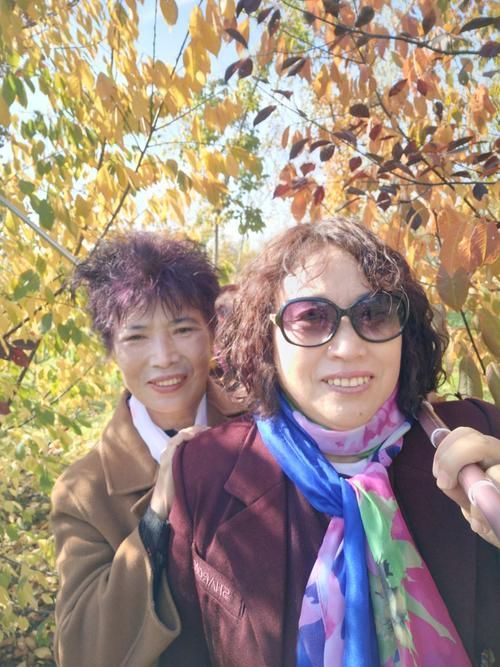 夏日的甜蜜回忆官网好用吗？(用户真实效果体验报告总结！)