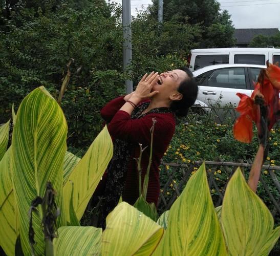 夏日的甜蜜回忆杨过游戏好玩吗？真实玩家体验优缺点分享