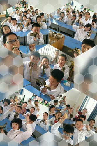 夏日的甜蜜回忆游戏官网怎么升级？经验秘籍免费领取！