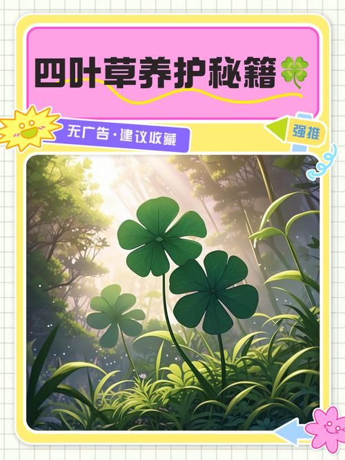 夏色四叶草安卓版下载慢怎么办？提速妙招实测有效！