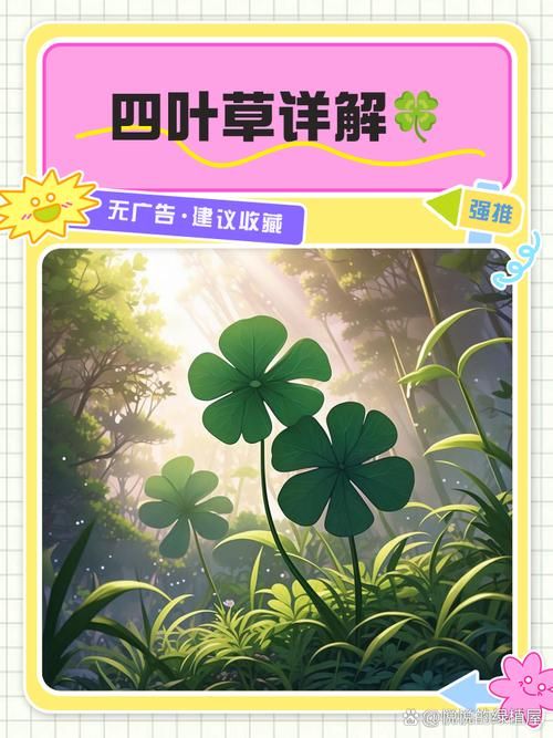 夏色四叶草汉化版下载手机能用不？详细适配教程图解！