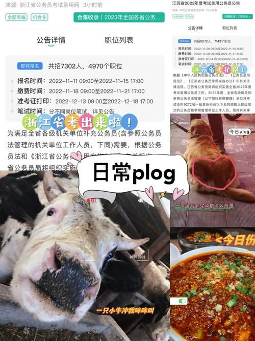 大兄弟最新版本有什么新功能？看完2023更新亮点介绍！
