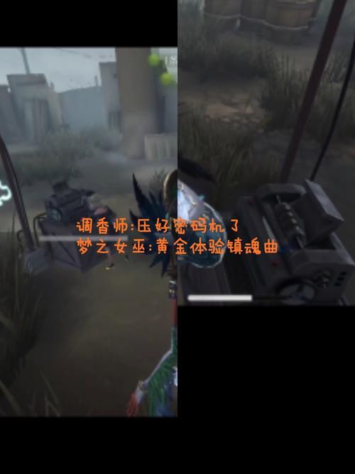 女巫训练师游戏官网效果怎么样(玩家真实体验反馈)