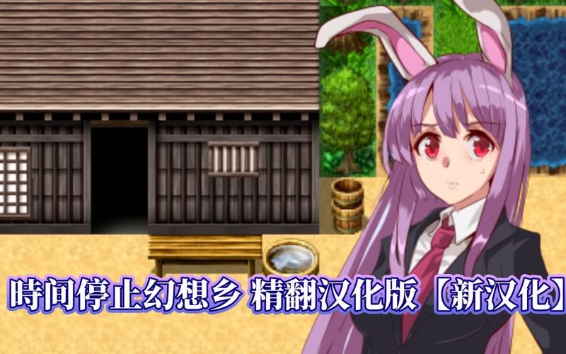 女忍条教安卓汉化运行流畅吗(实际测试结果公开)