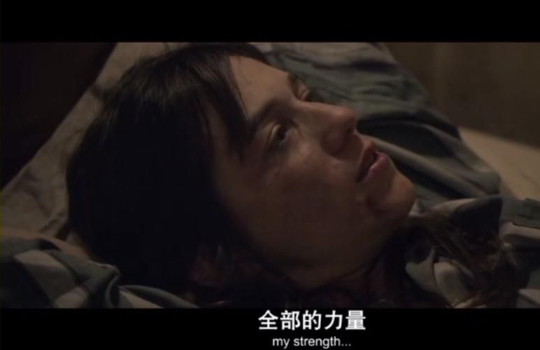 女性瘾者安卓汉化怎么用？新手必看操作指南详解