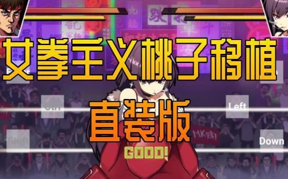 女拳主义下载安卓哪家平台好？热门推荐免费下载对比