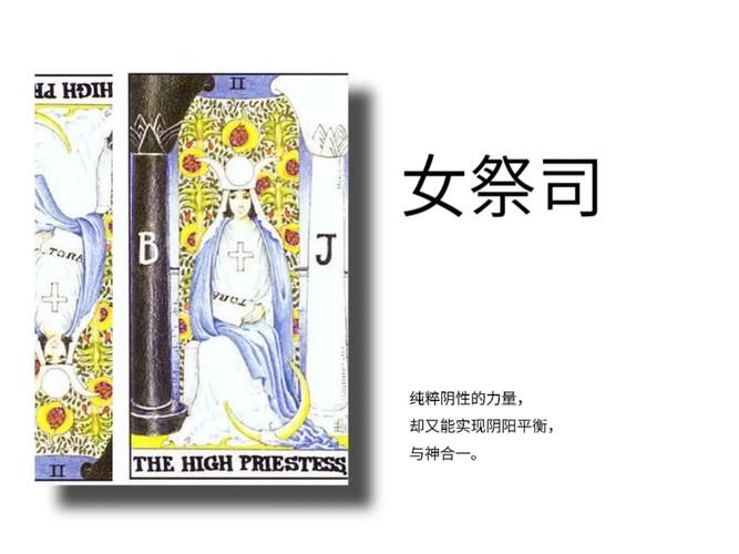 女祭司汉化版更新内容修复了哪些问题？(处理卡顿和错误技巧！)
