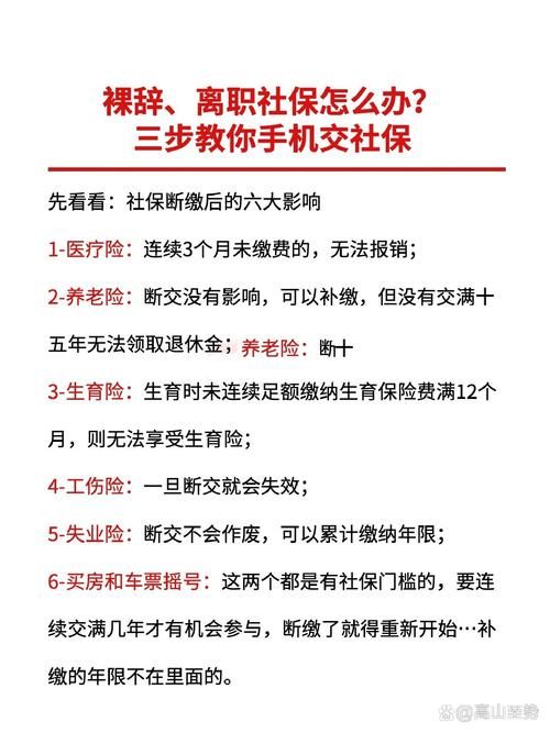 她的新回忆官方网站怎么进入？简单三步教你快速注册方法！