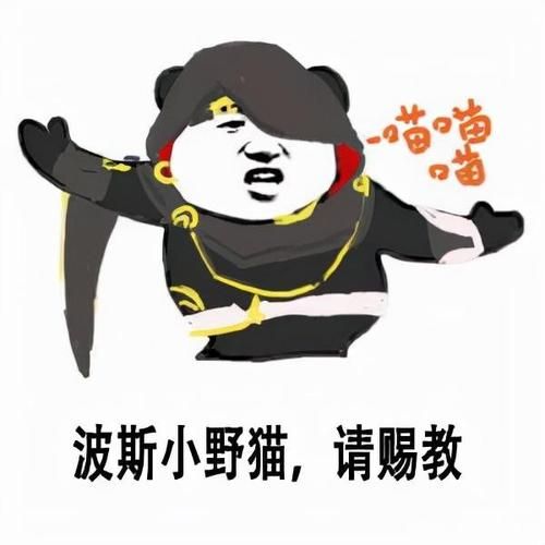 如何优化小野猫N汉化版体验？老玩家教你技巧提升乐趣！