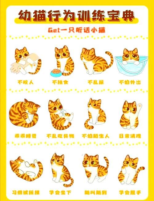 如何优化小野猫N汉化版体验？老玩家教你技巧提升乐趣！