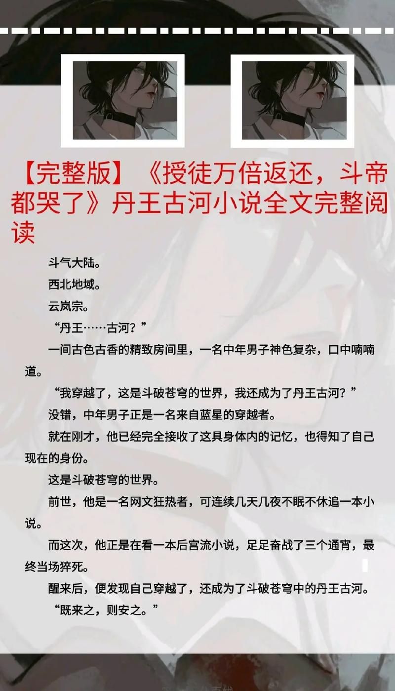 如何使用丹王V0.24版本大全？新手必备操作技巧分享！