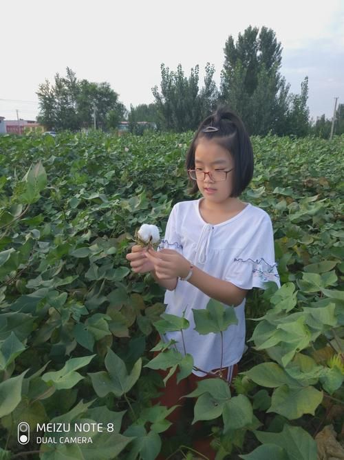 如何免费下载乡村生活的快乐暑假安卓？避坑实用技巧分享