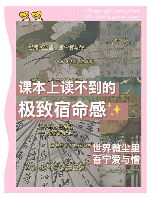 如何学习宿命论最新版本（新手入门避坑指南）