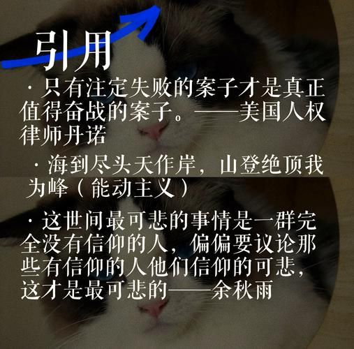 如何学习宿命论最新知识？(掌握4个技巧轻松入门应用)