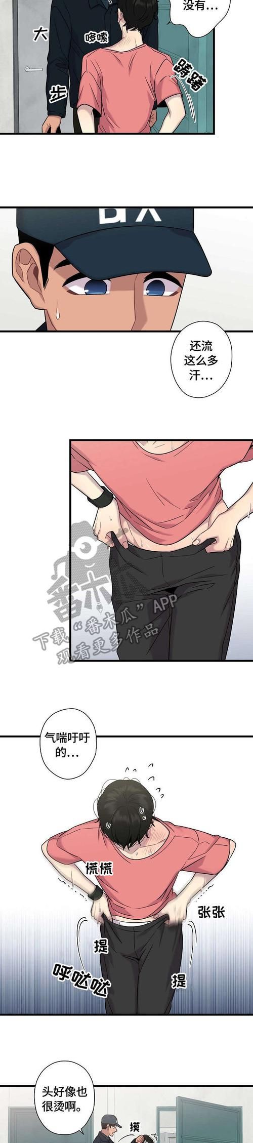如何安全下载好色小姨汉化版(避坑指南新手必看)