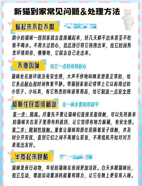 如何实现高等社会更新地址？五步指南帮你轻松操作！