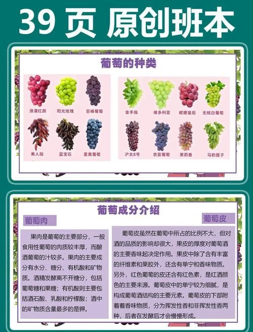 如何快速下载葡萄成熟时？简单步骤详解！