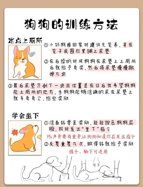 如何提升精灵女上司的训狗术绅士游戏乐趣？高手推荐实用小方法！