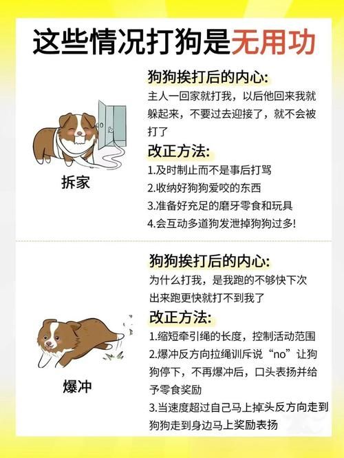 如何提升精灵女上司的训狗术绅士游戏乐趣？高手推荐实用小方法！
