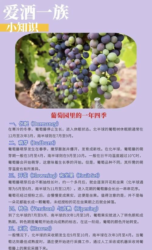 如何查葡萄成熟时所有版本？教你在哪儿找官方完整收录