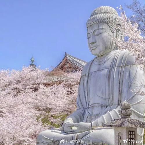 如何正确使用视灵1安卓？(新手必看快速上手)
