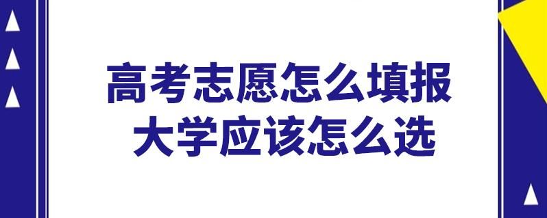 如何登录问题大学官网账号(新手指南简单易学)