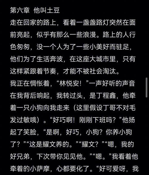 如何获取少年阿宾小说安卓汉化版？(最新版本快速安装指南解析)