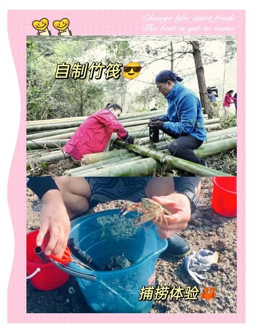 如何获取荒岛X求生官方最新版？下载安装流程简单教学！