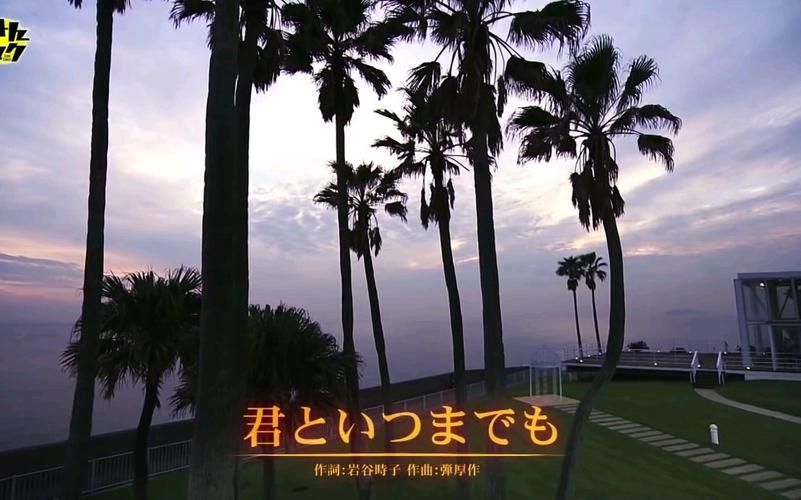 如何访问拓君和他的九个姐妹官网？(几步指南轻松搞定)