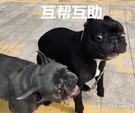 妈妈NTR游戏下载如何防骗(安全指南必看秘诀)